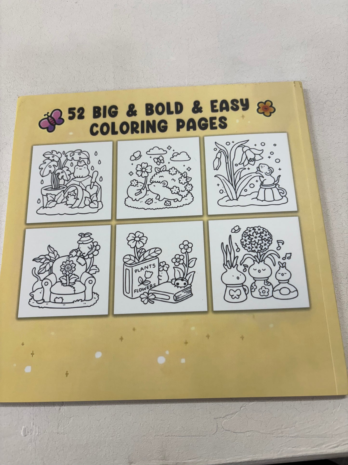 Into gardens colouring book