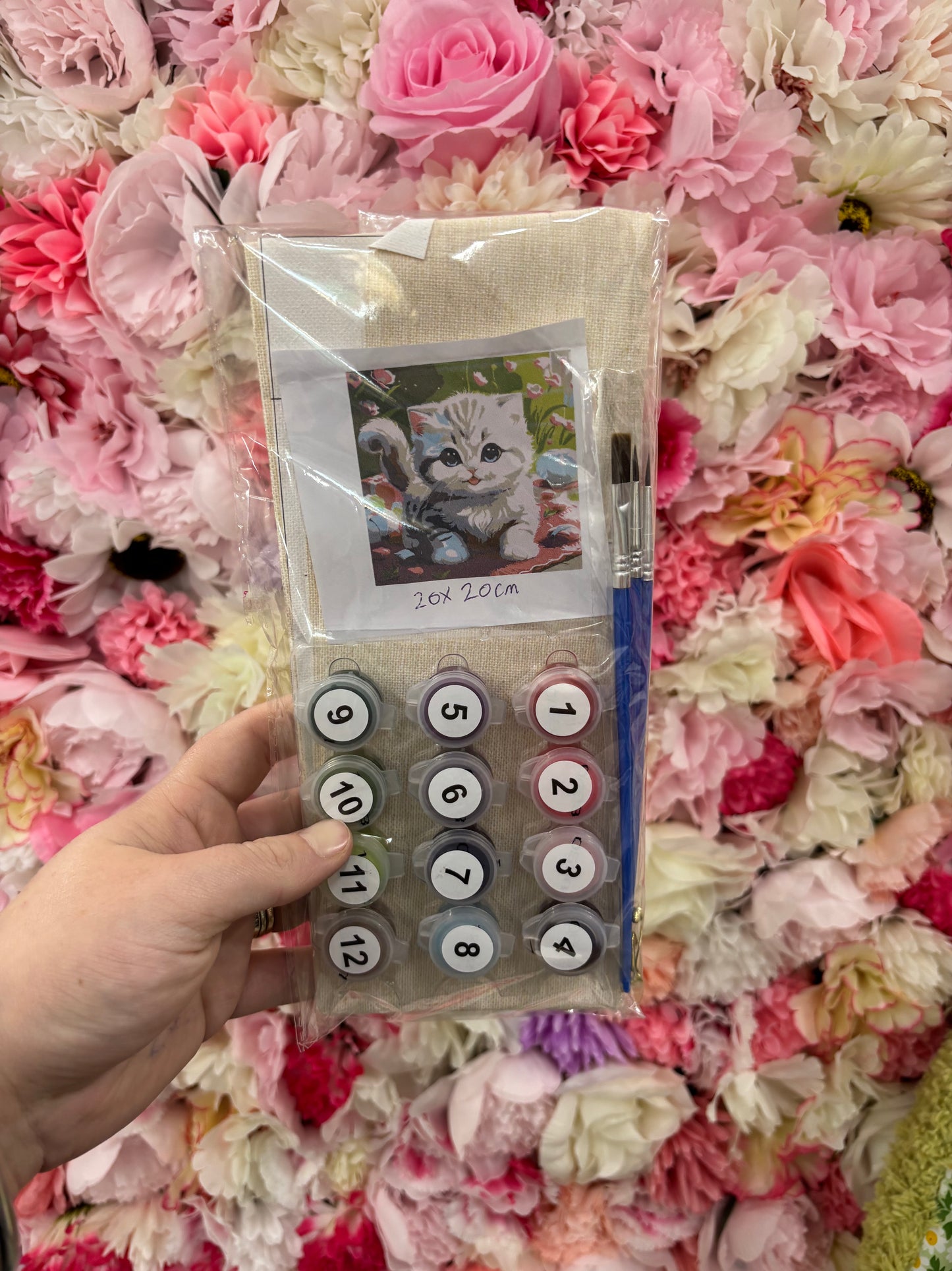 Paint by number kits